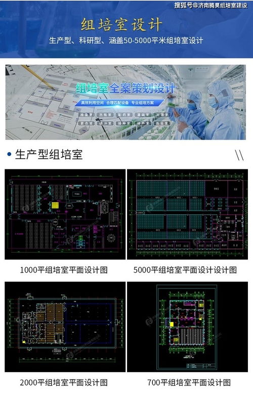 生姜組培苗工廠(chǎng)化生產(chǎn)技術(shù)及組培儀器設(shè)備清單與網(wǎng)絡(luò)技術(shù)開(kāi)發(fā)設(shè)計(jì)融合應(yīng)用